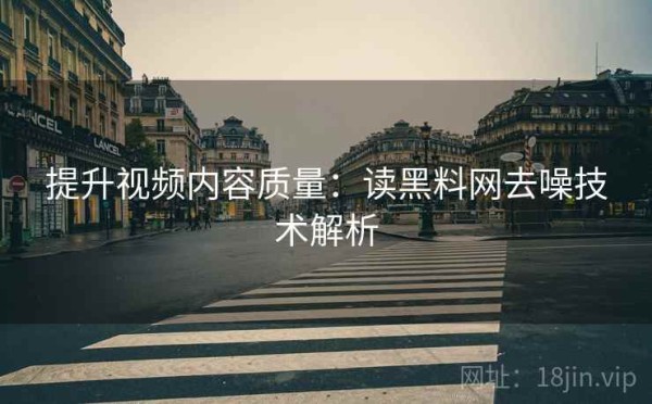 提升视频内容质量：读黑料网去噪技术解析
