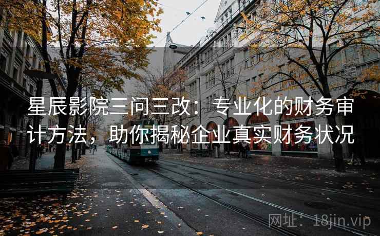 星辰影院三问三改:专业化的财务审计方法,助你揭秘企业真实财务状况 星辰影院三问三改:专业化的财务审计方法,助你揭秘企业真实财务状况