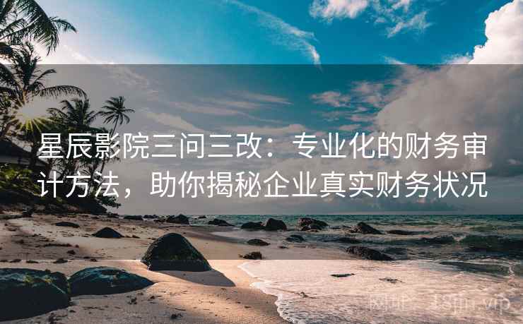 星辰影院三问三改:专业化的财务审计方法,助你揭秘企业真实财务状况 星辰影院三问三改:专业化的财务审计方法,助你揭秘企业真实财务状况